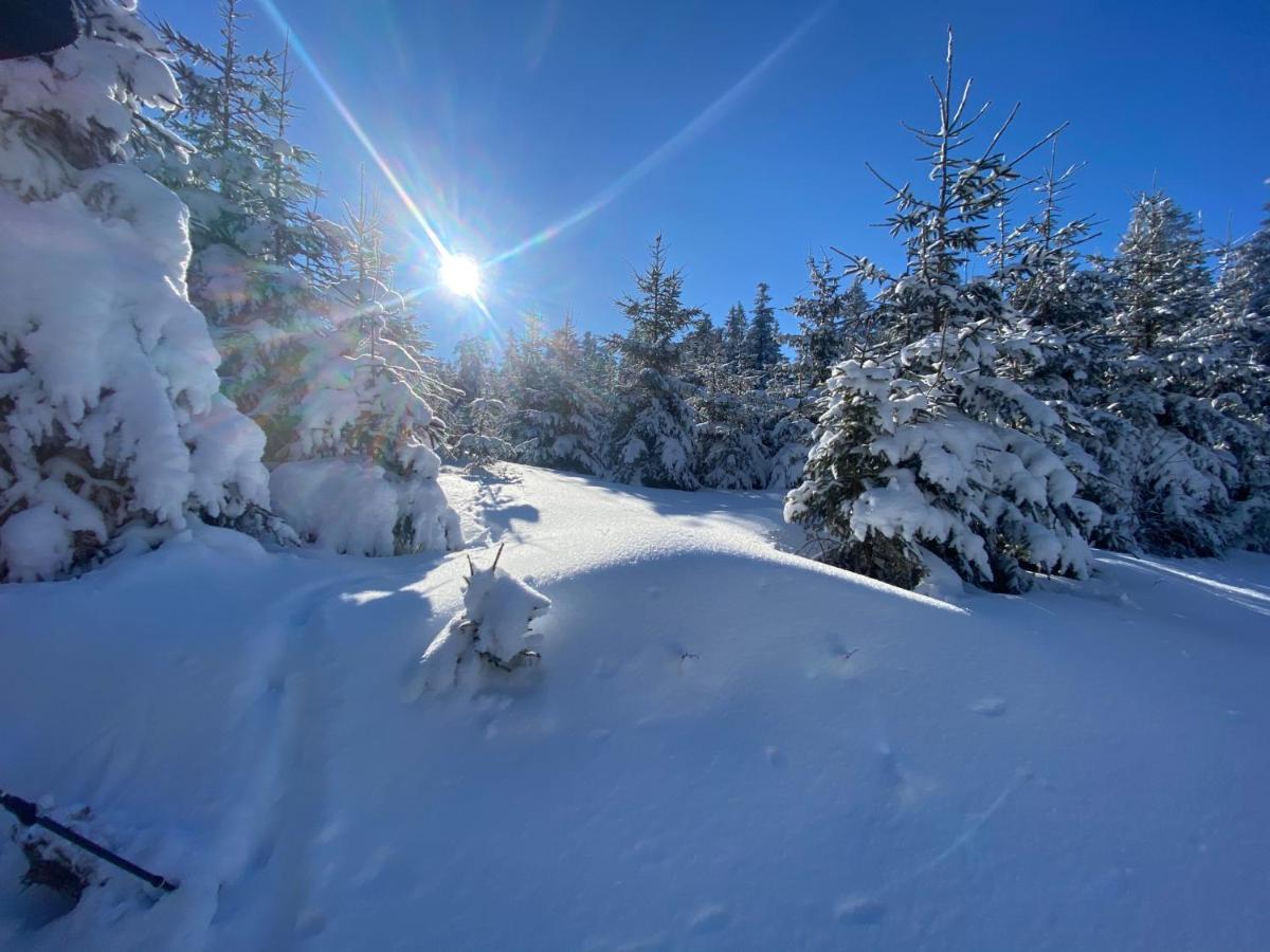 Top Fewo Mit Sommercard Winterberg Extérieur photo