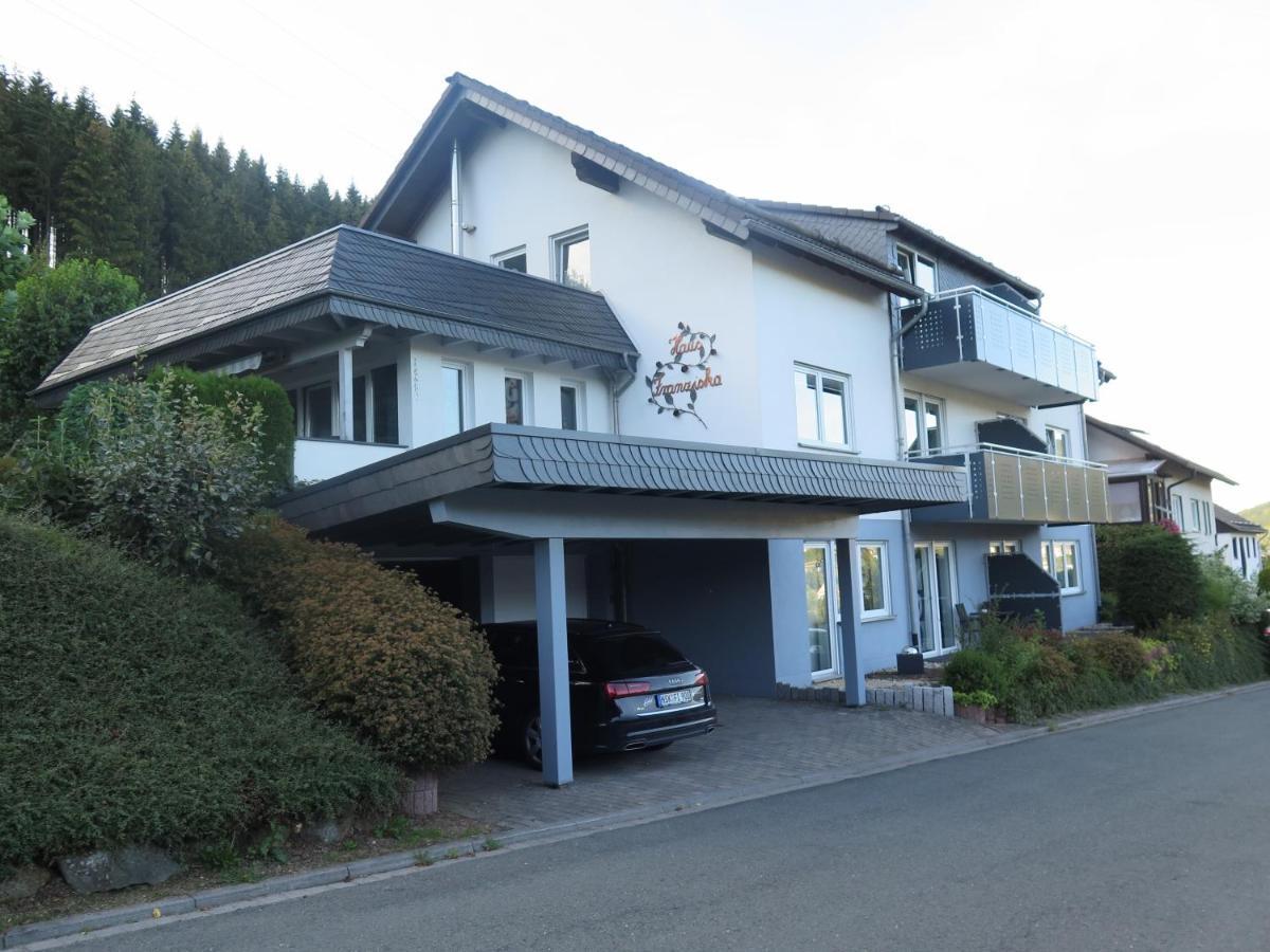 Top Fewo Mit Sommercard Winterberg Extérieur photo